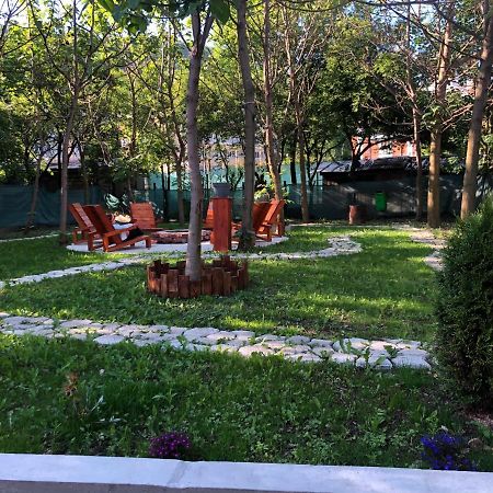 Casa Anina Hotel Екстериор снимка