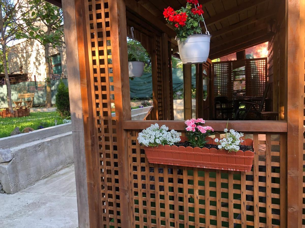Casa Anina Hotel Екстериор снимка