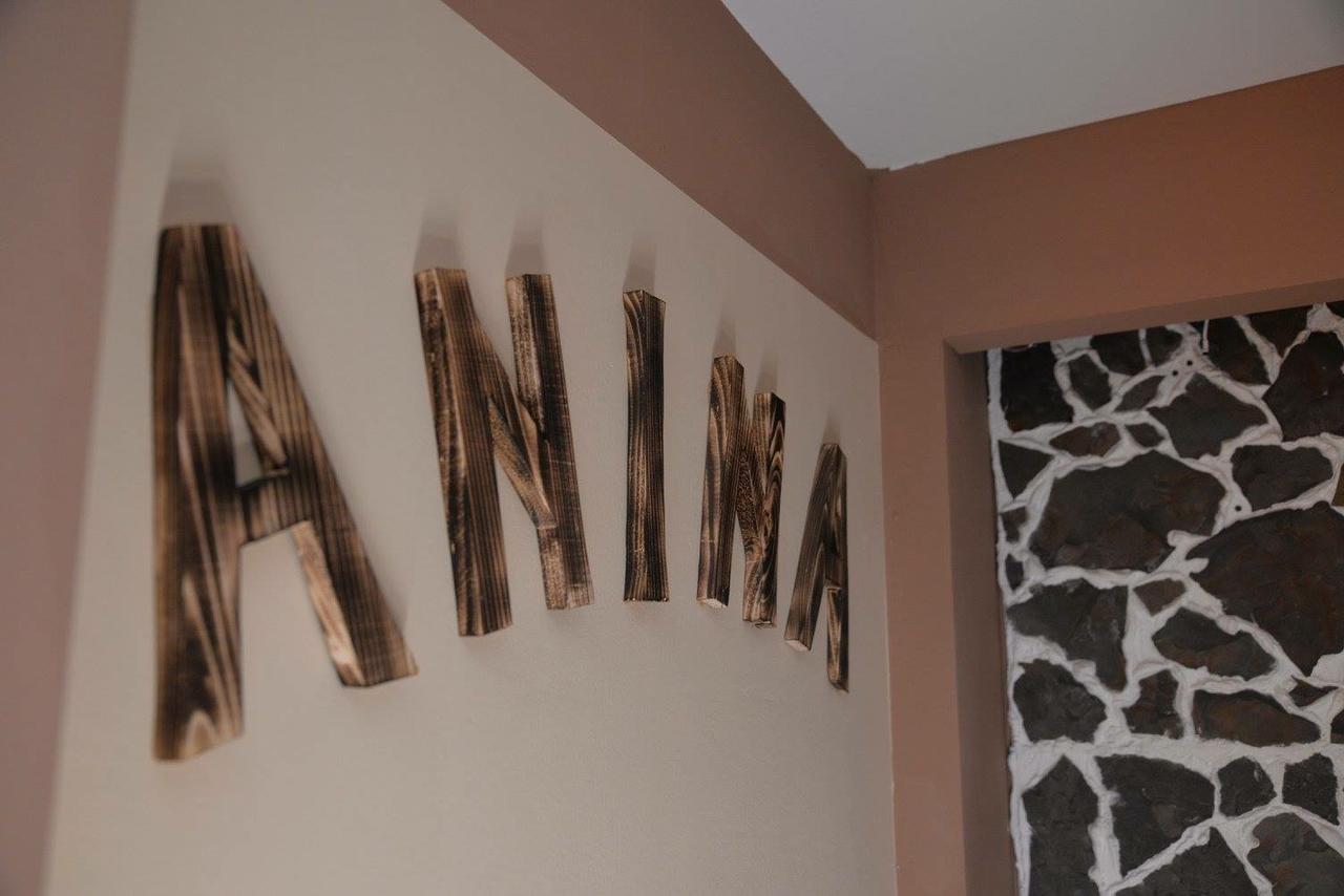 Casa Anina Hotel Екстериор снимка