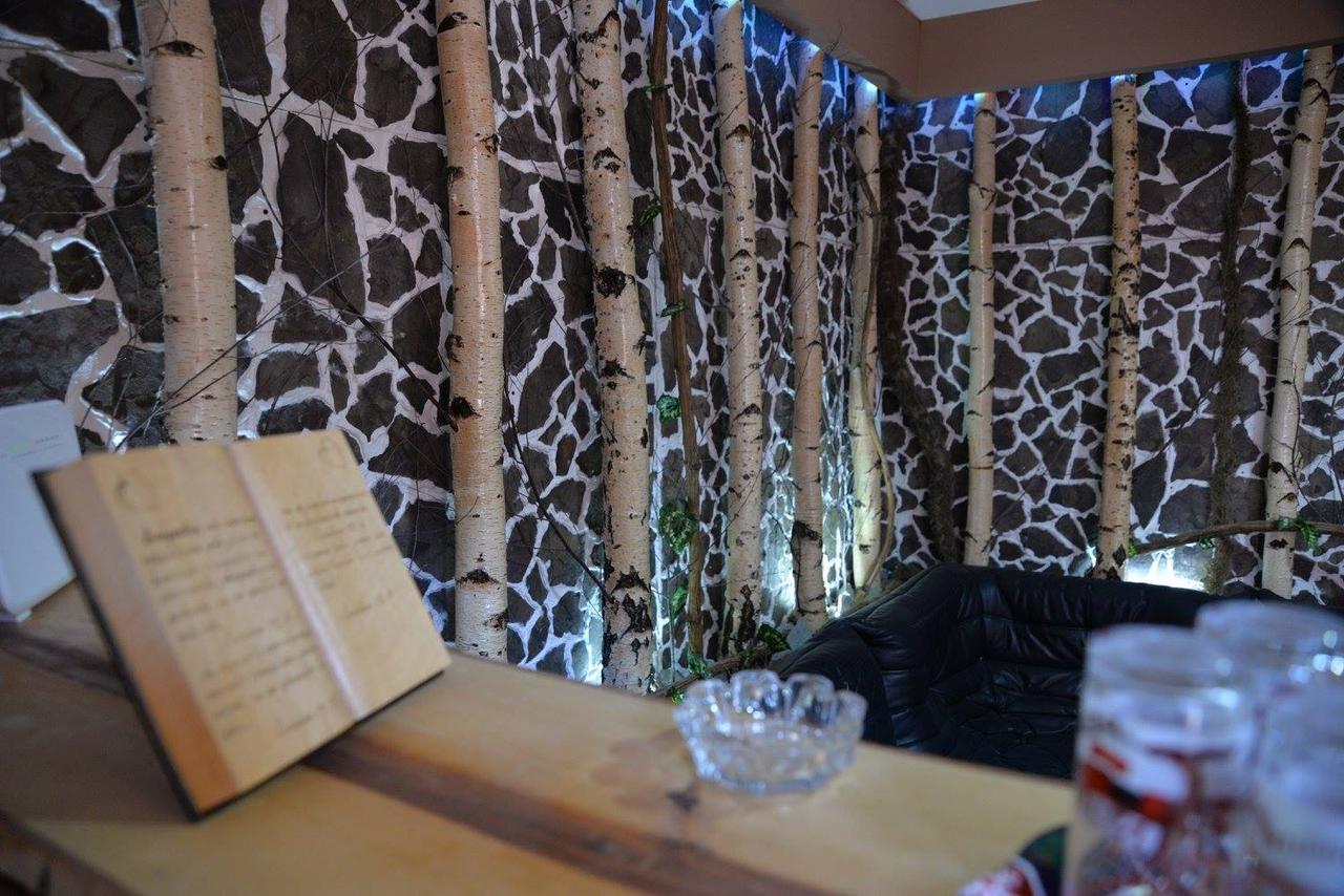 Casa Anina Hotel Екстериор снимка