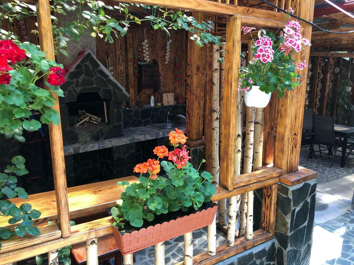 Casa Anina Hotel Екстериор снимка