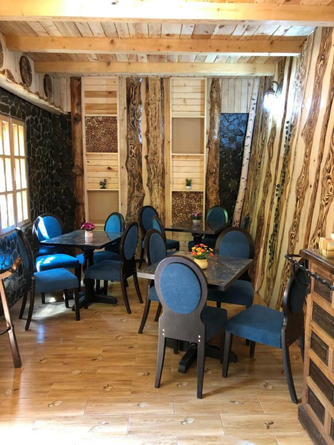 Casa Anina Hotel Екстериор снимка